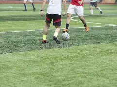 狂野时代,试错之痛还,是创新之作,6686体育平台,6686体育官方网站,6686体育登录入口,6686体育app下载