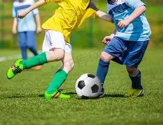 GB,纸及纸制品,重金属含量,6686体育平台,6686体育官方网站,6686体育登录入口,6686体育app下载