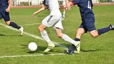 6686体育 产品 130034 ofx