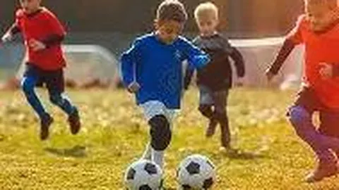 6686体育 产品 131432 8kz