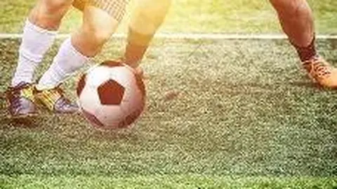 6686体育 资讯 125917 ycm