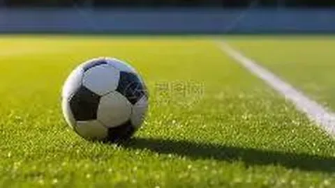 6686体育 资讯 130317 j4z