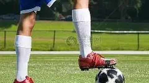 6686体育 资讯 102923 lo8