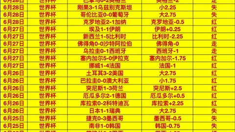 6686体育 204900 28